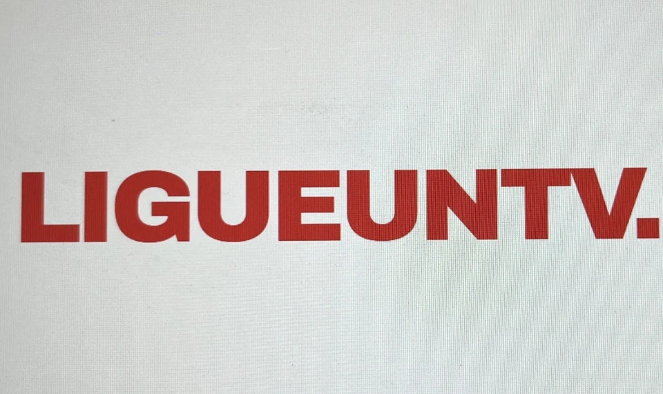 Nom de domaine  PREMIUM à vendre : LIGUEUNTV - Photo 1/1