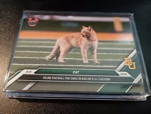 CAT CARD Baylor University 2024 Topps NOW Bowman U Now #14 Air Force In Hand - Picture 1 of 5