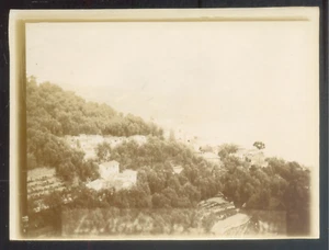 Italia, LA MORTOLA DI VINTIMIGLIA en 1905, Vintage citrate print 9x12 cm - Foto 1 di 1