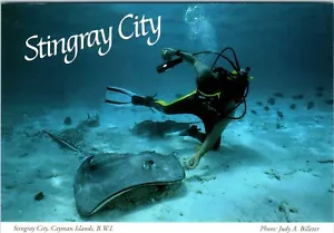 Stingray City, North Sound, Kaimaninseln Postkarte - Bild 1 von 2