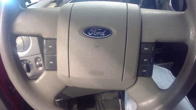 Bolsa de aire gris volante conductor Ford F150 2004-2008 Foto 1 de 4