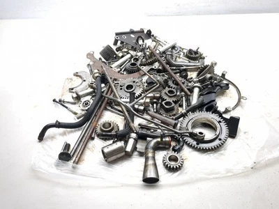 06-14 Yamaha Stratoliner Roadliner XV1900 Motor Piezas Hardware Kit de pernos Foto 1 de 4