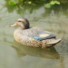 Floating Mallard Duck Decoy compatible with shooting house