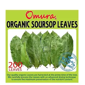 Omura Soursop Blätter 3,8 oz (ca. 200 Blätter) - Bild 1 von 4