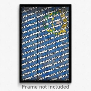 Silver Springs Nevada Poster (NV City Souvenir 11x17 Stadtdruck) - Bild 1 von 1