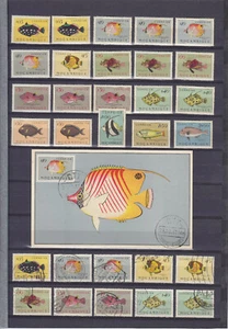 MOCAMBIQUE MOZAMBIQUE 1951, FISHES, 13 MINT + 44 USED + MAXIMUM-CARD - Picture 1 of 2