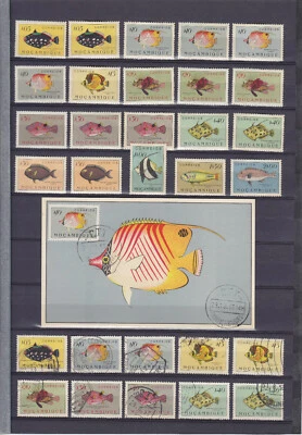 MOCAMBIQUE MOZAMBIQUE 1951, FISHES, 13 MINT + 44 USED + MAXIMUM-CARD - Image 1 of 2