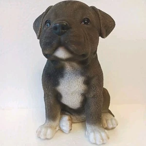 Vivid Arts Pet Pals Brindle Staffordshire Home or Garden Decoration in gift box - Picture 1 of 5