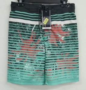 Roundtree & Yorke Grey Aqua Palm Tree Striped Men's Swimwear NWT $49.50 S M XL - Picture 1 of 2