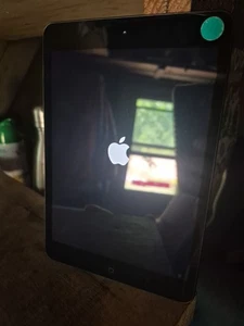 Apple iPad Mini A1432 16GB Wi-Fi 7.9" Gray iOS 9 – 1st Gen Tablet - Picture 1 of 4