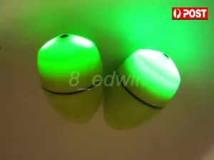 2 de flotadores de pesca nocturna ABO elipsoides luminosos + 4 baterías, poste de apoyo - Imagen 1 de 11
