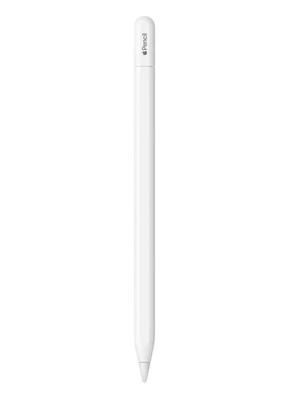 Apple Pencil (USB-C) Stylus for iPad -  MUWA3AM/A - Image 1 of 3