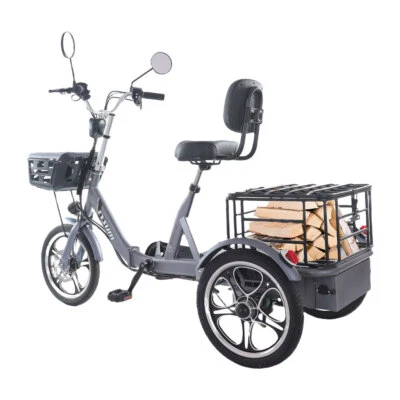 FAFREES 3 Räder Fahrrad Cargo Trike mit E Korb 400W Elektro Dreirad E-Bike 20 Zoll