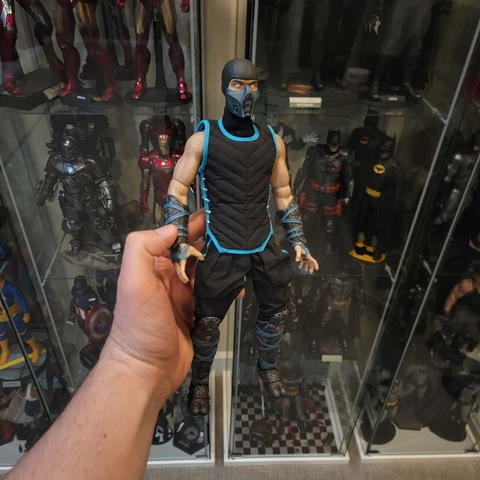 Worldbox Mortal Kombat vs DC Combat SUB-ZERO 1/6 12″ Scorpion Raiden Liu READ Cover