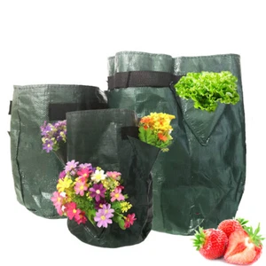 5 7 10 Gallon Strawberry Grow Bag Garden Planting Pot Tomato Potato Vege Planter - Picture 1 of 6