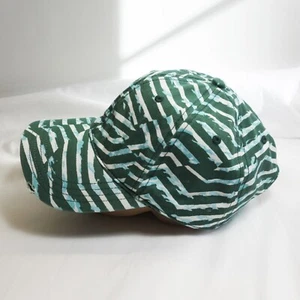 Aerie Baseball Hat Green Pattern Stripes Cap Women's NWT! - Picture 1 of 8