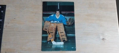 Richard Brodeur Quebec Nordiques Postcard 1976 77 Vancouver Hartford NYI WHA - Image 1 of 3