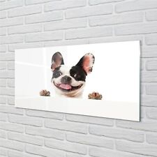 Tulup Glass Print 100x50 Wall Art Picture Dog