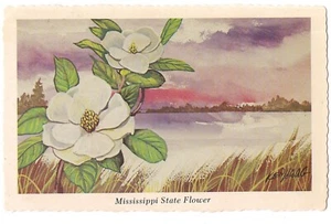 Magnolia MISSISSIPPI STATE FLOWER Art Painting By Ken Haag MS Postcard 1974 - Picture 1 of 2