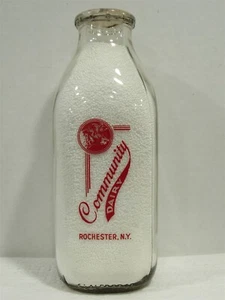 SSPQ Milk Bottle Community Dairy Rochester NY MONROE COUNTY 1948 Var#2 Cow head - Picture 1 of 2