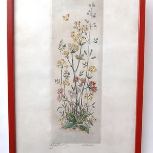 Anciennne Gravure Botanique Eau-forte Fleurs Colorée Signée Cadre - Imagen 1 de 9