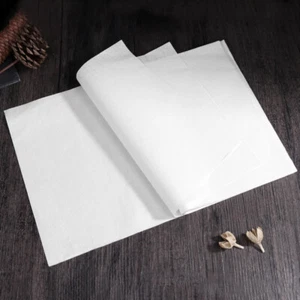 Papel de arroz chino caligrafía y pintura japonesa Xuan Doufang - Imagen 1 de 8