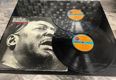 Muddy Waters - McKinley Morganfield - 2 x 12” Vinyl Gatefold Album - Free P&P - Image 1 of 4