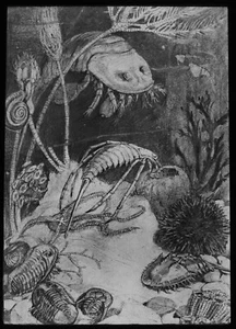 SILURZEIT MEERESLEBEN UM 1890 Magische Laterne Dia GEOLOGIE GEOLOGISCHE PERIODE - Bild 1 von 3