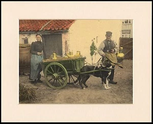 BERNESE MOUNTAIN DOG AND MILK CART PERIOD STYLE PRINT MOUNTED READY TO FRAME - Foto 1 di 1