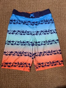 Vtg Cat And Jack Boys Dinosaur Board Shorts Swim Trunks Size XL - Picture 1 of 6