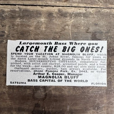 Magnolia Bluff Satsuma Florida Vintage 1952 Publicidad Impreso Lubina Pesca Deportista Campamento Foto 1 de 2