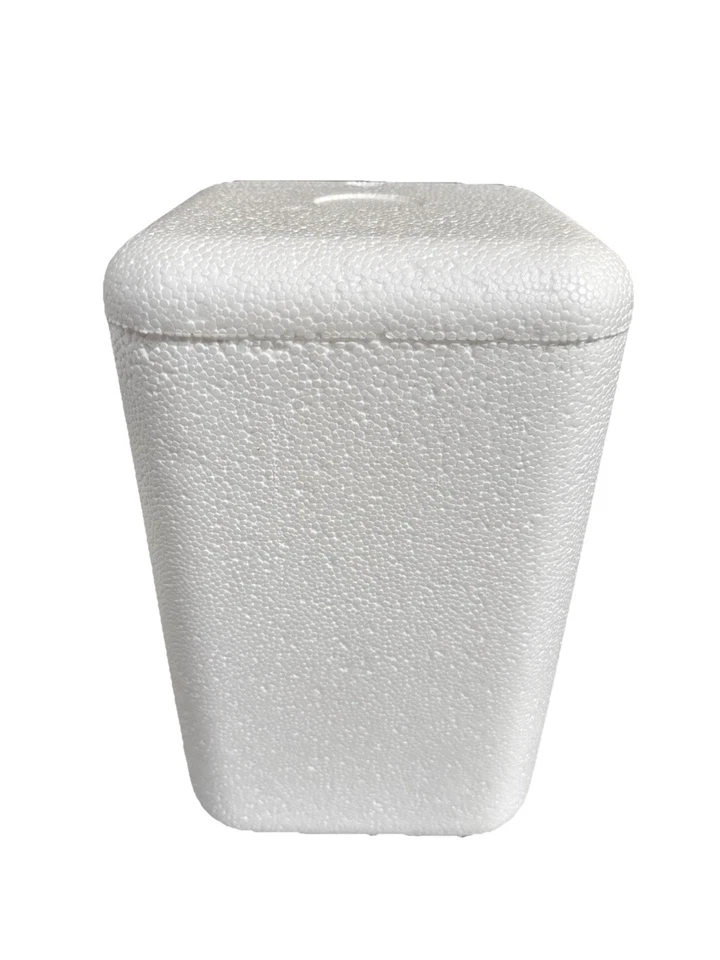 insulated Styrofoam shipping cooler foam container 10x 5 x 5 Inside measure - Image 1 of 4