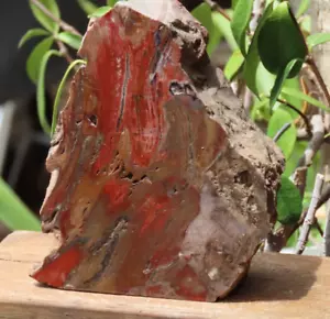 Polished Face Flat Rough & Raw Stromatolite Crystal Piece 1.2kg Display Piece - Picture 1 of 8