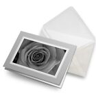 Greetings Card (Grey) BW - Hot Fuchsia Rose Flower #43043