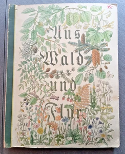 Aus Wald und Flur Pflanzen unserer Heimat von Walter Röldner von 1937 - Bild 1 von 6