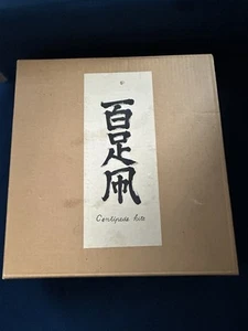 Antigua cometa de papel ciempiés japonesa de los años 50 - Hecha en Japón - Imagen 1 de 4