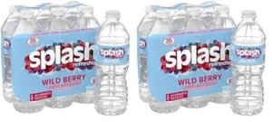 Splash Refresher Wild Berry Flavored Water, 16.9 Fl Oz Plastic Bottle Pack of 12 - Picture 1 of 1