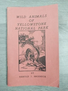 Brodrick Outdoors Nature Wild Animals of Yellowstone National Park Illus. 1952 - Foto 1 di 7