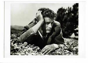 James Dean Postcard 10,5 X 15 CM Portraits Cinema " With EAST D'Eden " 1955 577 - Picture 1 of 2