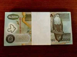ZAMBIA 500 KWACHA P-43 2006 x 100 Pcs Lot BUNDLE POLYMER ELEPHANT UNC BANK NOTE - Picture 1 of 5
