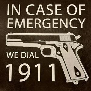 AMERICAN OUTFITTERS IN CASE OF EMERGENCY WE CALL 1-9-1-1 GUN RIGHTS SHIRT - Picture 1 of 9