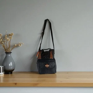 Harley Davidson Getränke Kühltasche Thermo Reise Fahrt Picknick Tasche Mittagessen Flammen - Bild 1 von 14