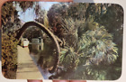 The Horse Shoe Palm Silver Spings FL Postcard