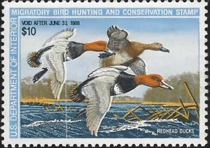 US Scott #RW54 MNH Fine Gum Disturbed 10.00 1987 US Federal Duck Stamp CV 17.50 - Picture 1 of 2