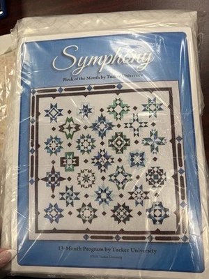 Kit trapunta blocco sinfonico del mese di Tucker University Batiks - Immagine 1 di 2