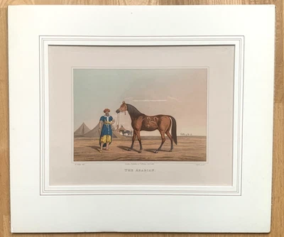 Original 1820 Henry Alkin GRABADO AGUATINTA ANTIGUA El Arabain EXCELENTE estado Foto 1 de 4