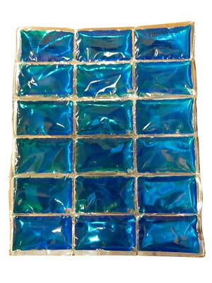 Coleman / Campingaz Flexible Kühlelemente Kühlakku Kühlpack 30x24x0,5 cm blau