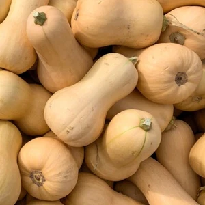 1/4 Lb Waltham Butternut Winter Squash Seeds - Everwilde Farms Mylar Seed Packet - Picture 1 of 2
