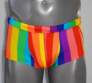 NEW MEN'S RAINBOW SWIM TRUNKS SIZE LARGE - Picture 1 of 6