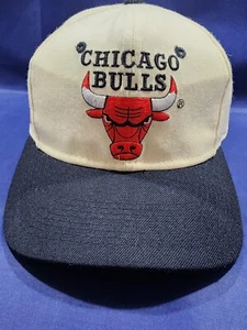 Vintage Chicago Bulls Sports Specialties Hat Back Script Fitted Size 7 Wool Cap - Picture 1 of 15